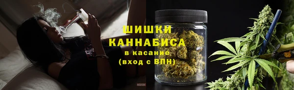 ГАЛЛЮЦИНОГЕННЫЕ ГРИБЫ Медногорск