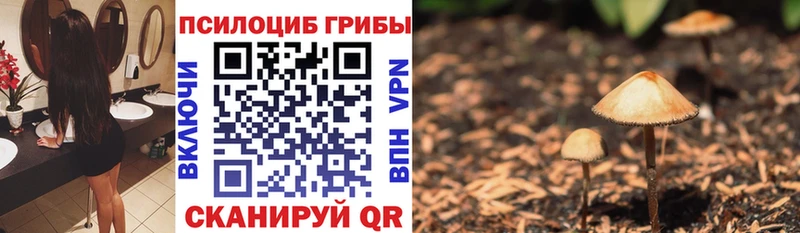 Псилоцибиновые грибы Cubensis  Лысьва 