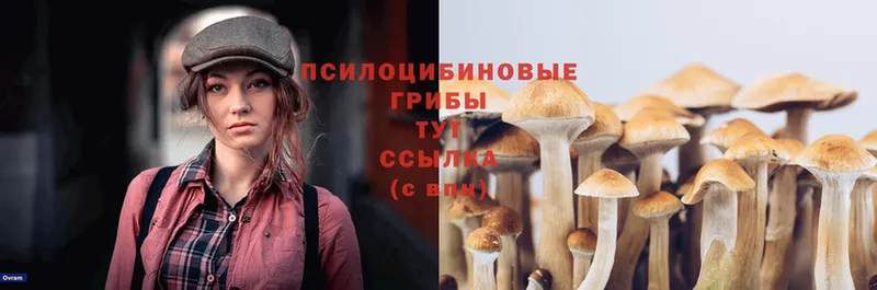 где продают наркотики  Лысьва  Галлюциногенные грибы Magic Shrooms 