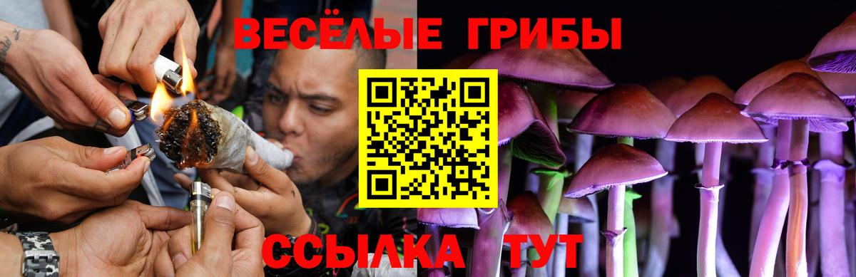 Галлюциногенные грибы Psilocybe Лысьва